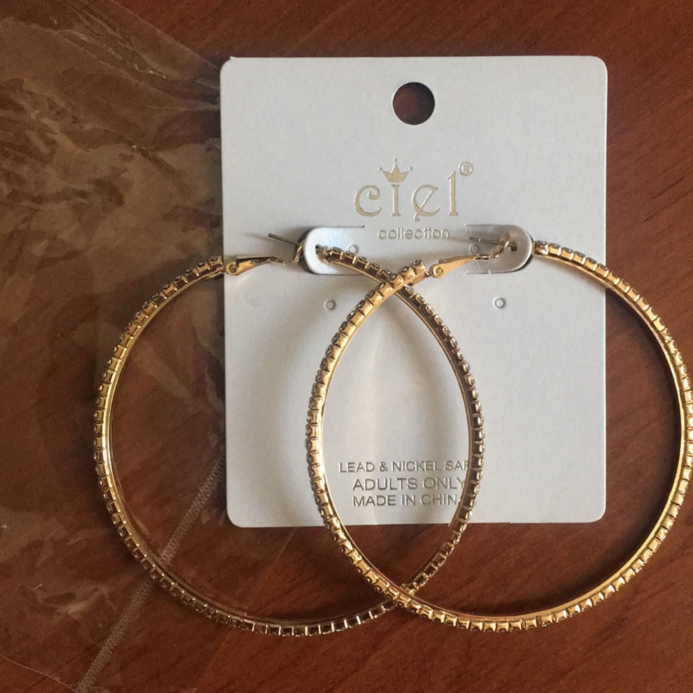 NEW Fashion Nova Hoop Earrings